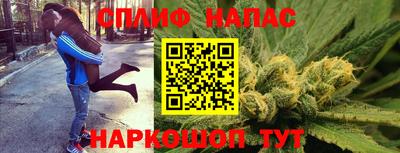 шишки Гай
