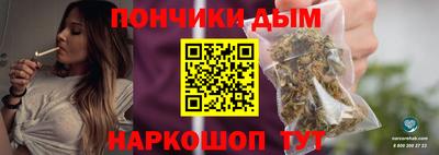 гашик Гатчина