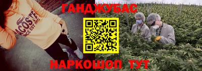 гашик Гатчина
