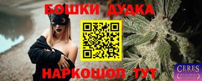 гашик Гатчина