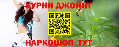 гашик Гатчина