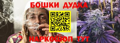 шишки Гай