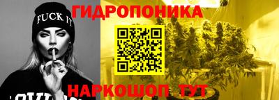 гашик Гатчина