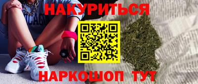 гашик Гатчина