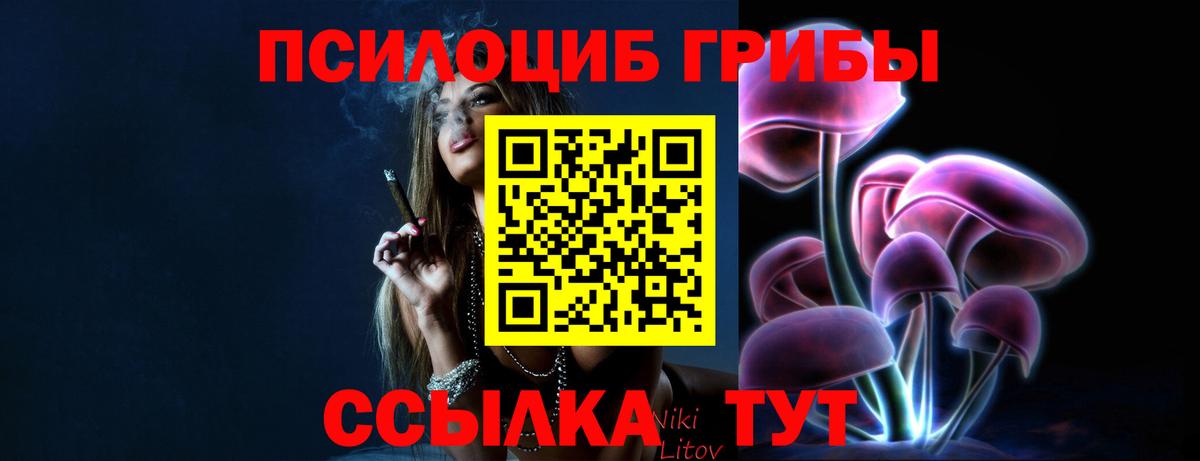 Галлюциногенные грибы Cubensis Дивногорск